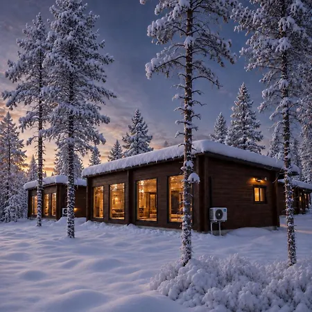 Arctic Forest Hideaway With Private Sauna